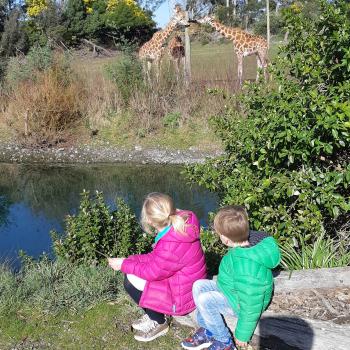 Parent Invercargill: babysitting job Toni