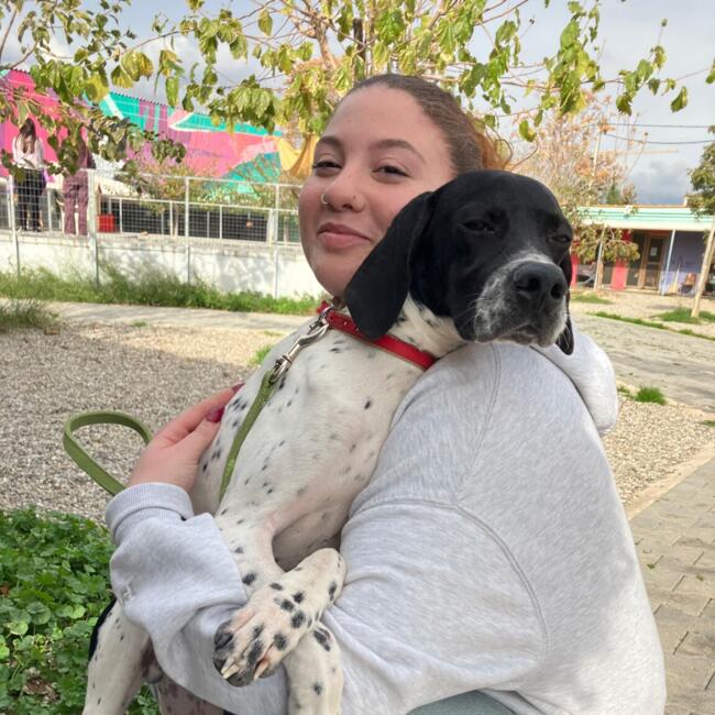 Babysitter στην περιοχή Νίκαια: Εφη