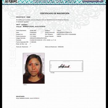 Niñera Arequipa: Julia Patricia