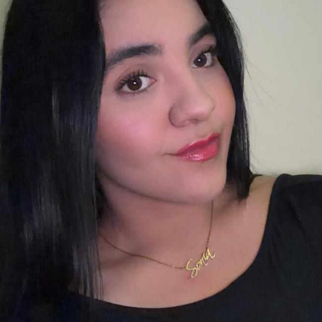 Babysitter in Delicias: Sonia