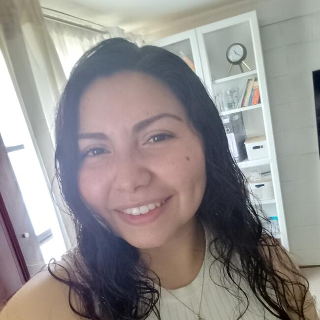 Babysitting job in Puente Alto: Elena