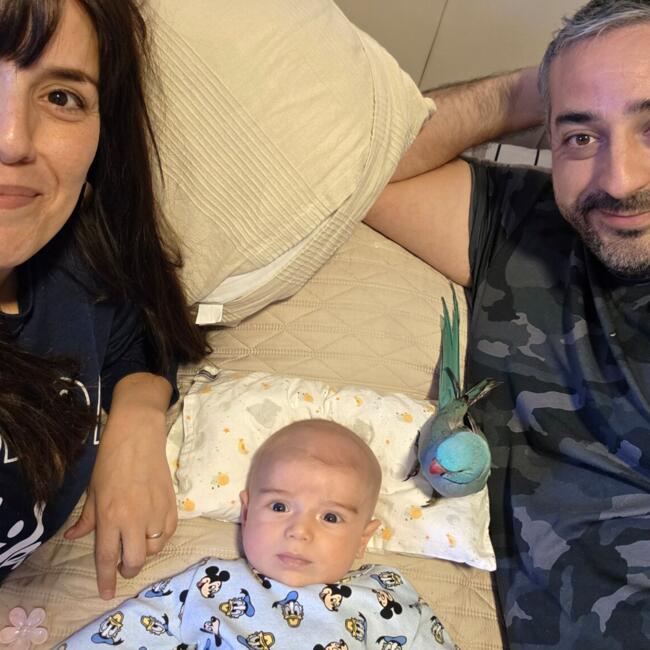 Babysitting job in Macul: Anto