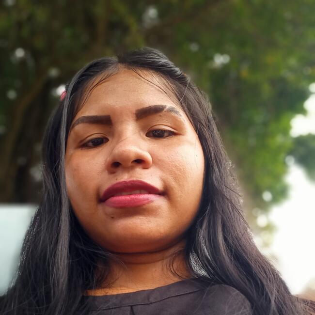 Babysitter in Paracho de Verduzco: Alicia