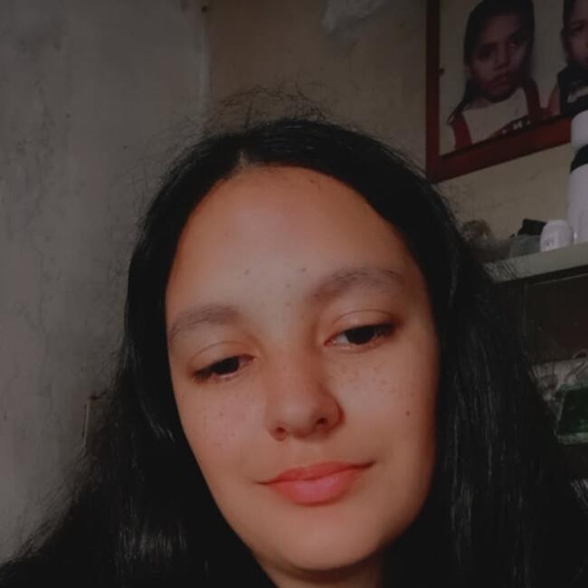 Babysitter in Almirante Brown: Daiana noemi