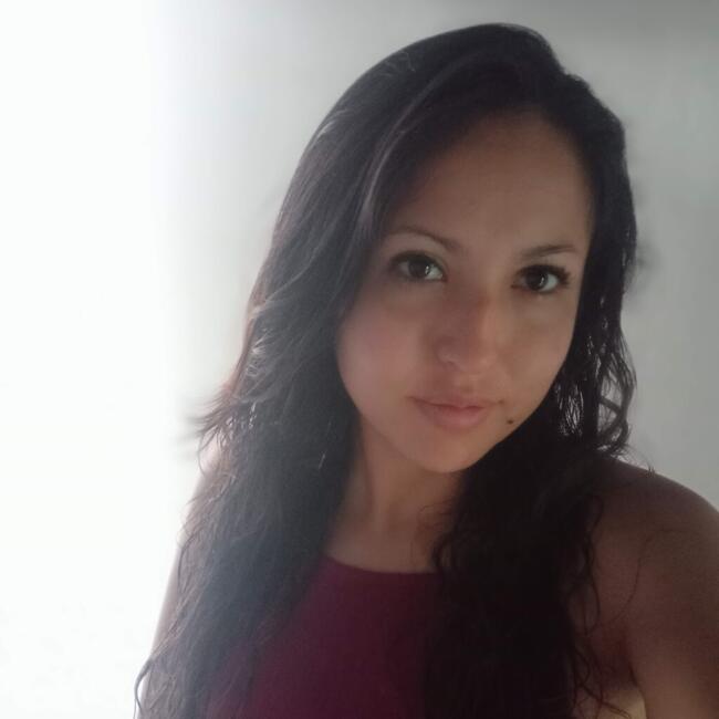 Babysitting job in Ibagué: Viviana