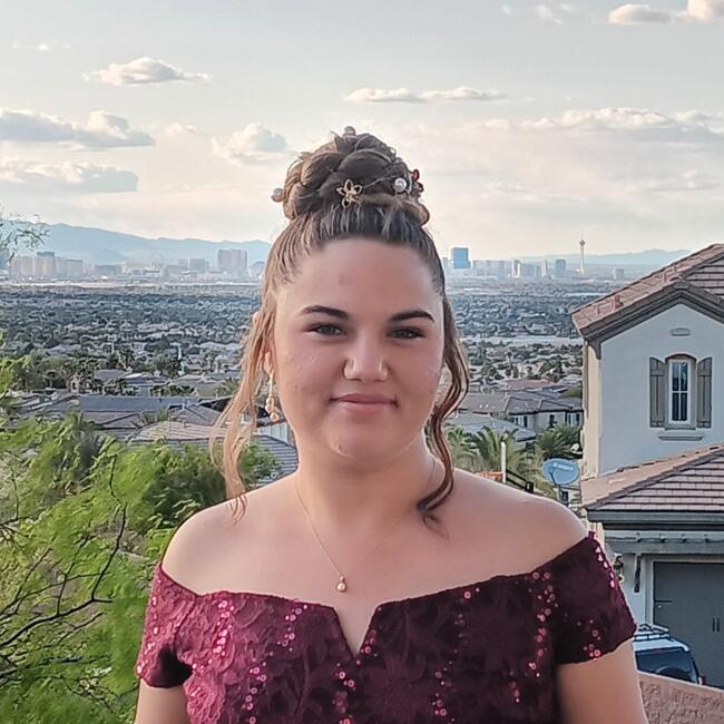 Babysitter in Henderson: Summer