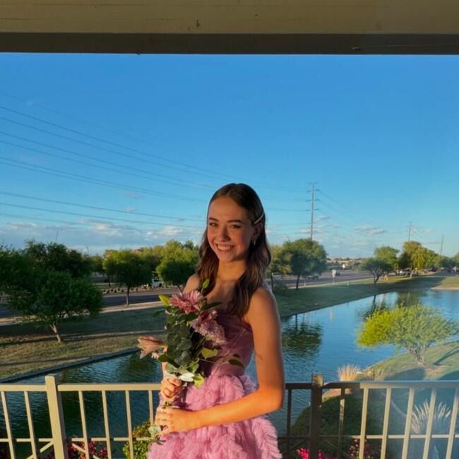 Babysitter in Gilbert: Briana