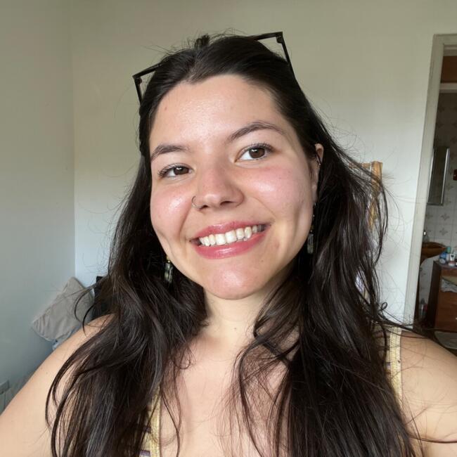 Babysitter in Florianópolis: Camily