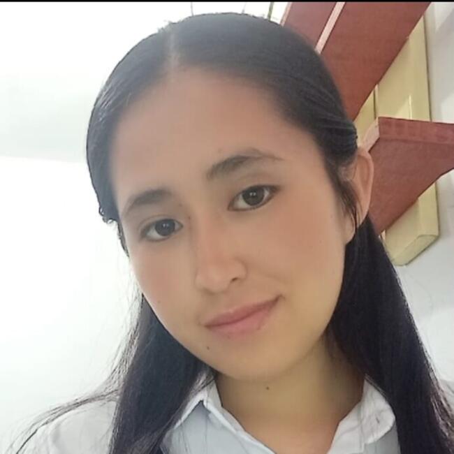 Babysitter in Pimentel: Mayra