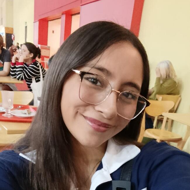 Babysitter in Ciudad del Libertador General San Martín: Aixa