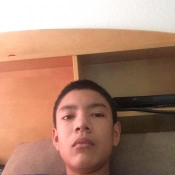 Babysitter in Tucson: Pino