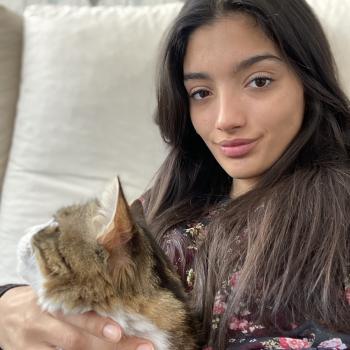 Baby-sitter in Cherbourg: Wassila