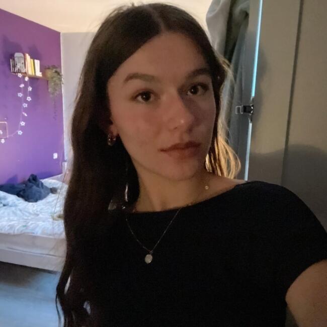 Babysitter in Rennes: Lou