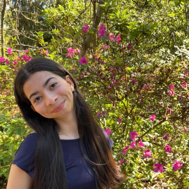 Babysitter em Leiria: Maria