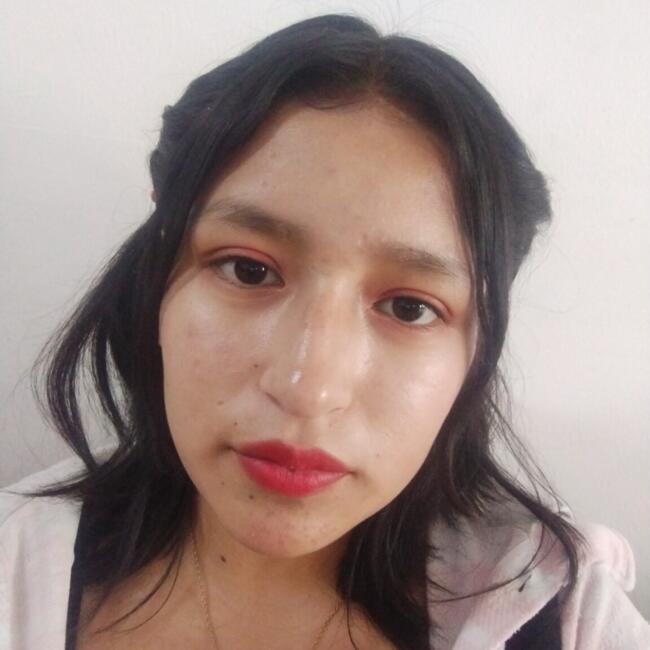 Babysitter in Huamancaca Chico: Madeline