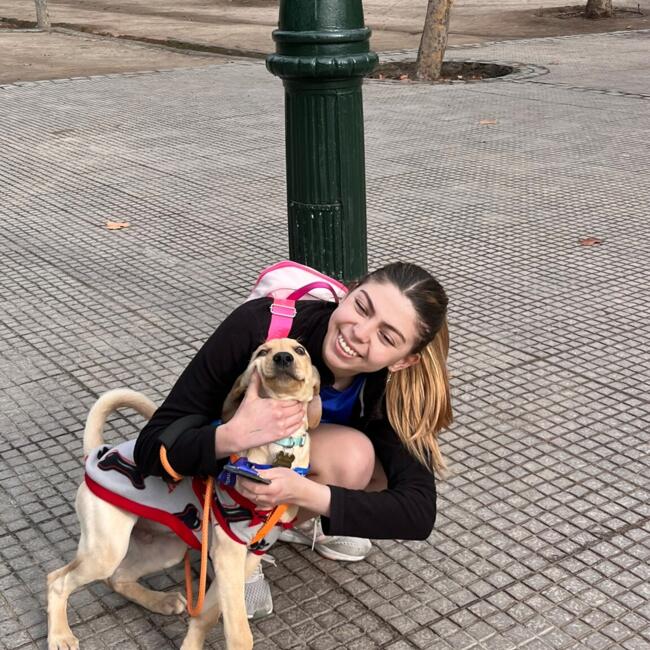 Babysitter in Santiago: Fernanda