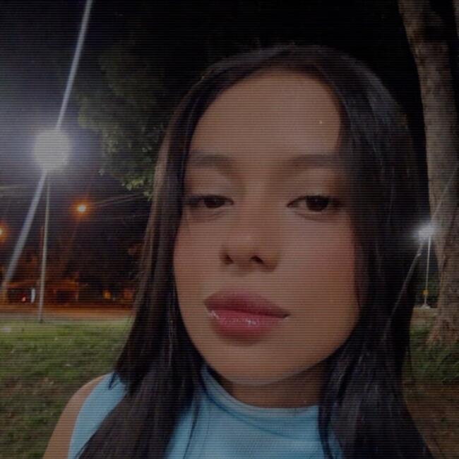 Babysitter in Santa Bárbara d'Oeste: Reebeca