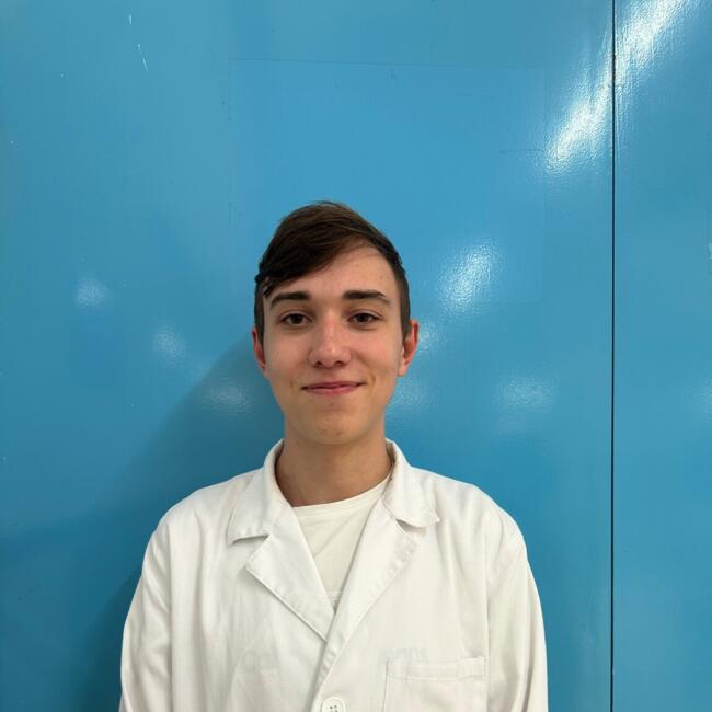 Babysitter in L'Hospitalet de Llobregat: Ricard