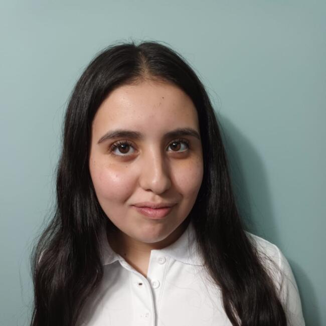 Babysitter in La Florida: Yehiny