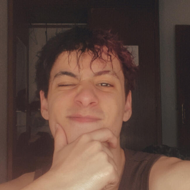 Babysitter in Figueira da Foz Municipality: Miguel