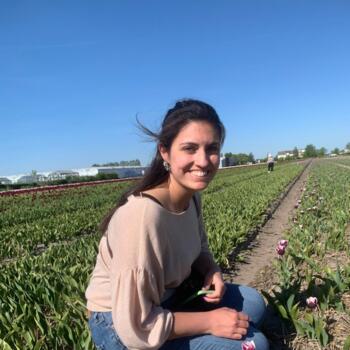 Babysitter in Canelas: Catarina