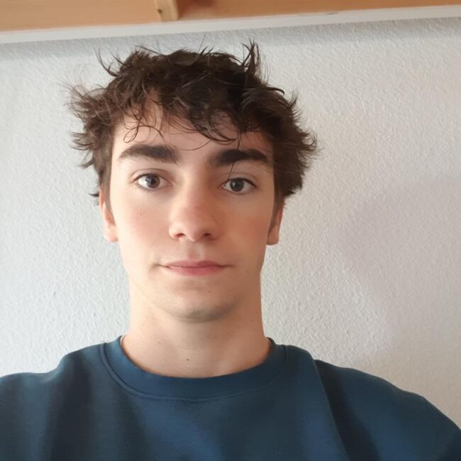 Babysitter in Gradignan: Nils