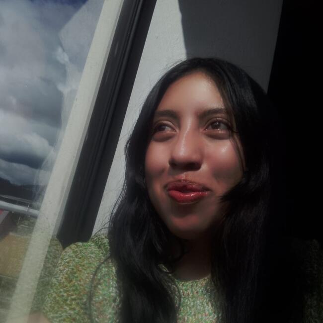 Babysitter in Cuenca: Emily
