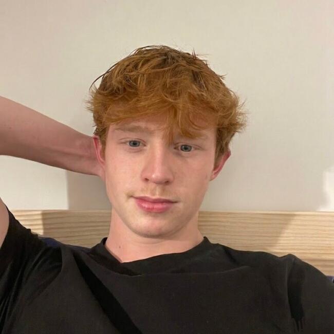 Babysitter in La Ville-du-Bois: Mathieu