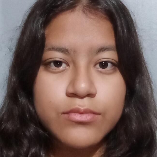 Babysitter in Colonia Álvaro Obregón: Lizeth