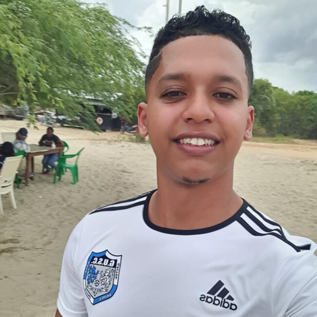 Trabajo para niñera en Santo Domingo (Distrito de Santo Domingo): Francisco