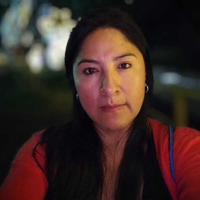 Babysitter in Viña del Mar: Manuela