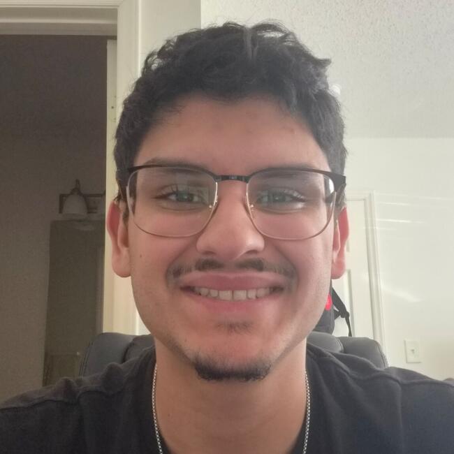 Babysitter in Raleigh: Sean