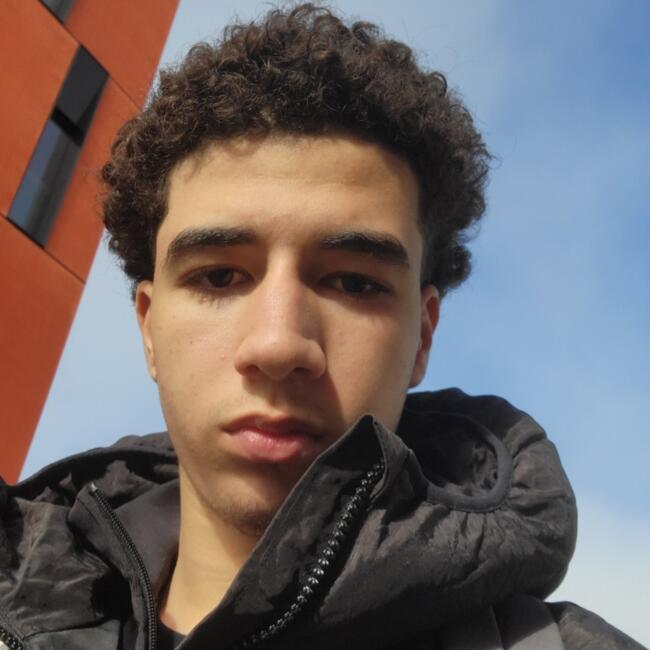 Babysitter in Ramonville-Saint-Agne: Adam
