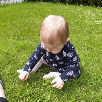 Babysitting job in Kinsale: babysitting job Ms.