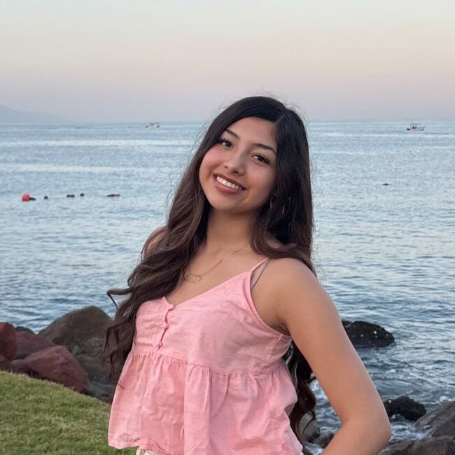 Babysitter in Sacramento: Analise