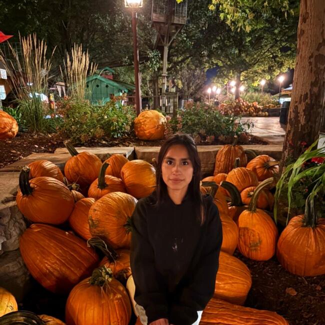 Babysitter in Prospect Heights: Lizbet