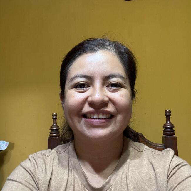 Babysitting job in Mixco: Lesly