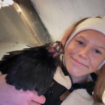 Babysitter in Drammen: Enya