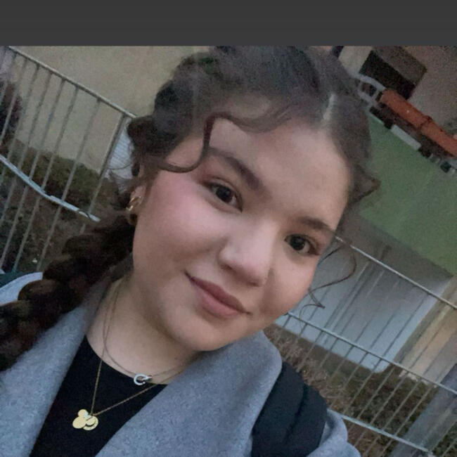 Babysitter in Dietzenbach: Imran