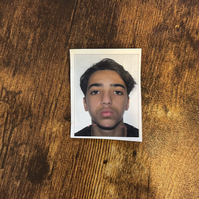 Babysitter in Choisy-le-Roi: Ryad