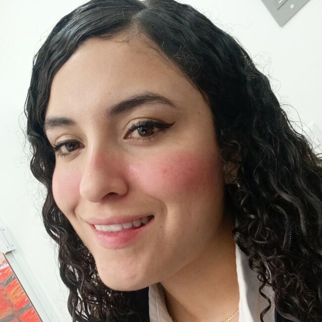 Babysitter in San Luis Potosí City: Erica