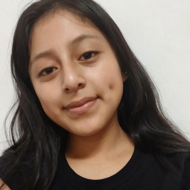 Babysitter in Tlaquepaque: Valdez