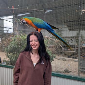 Babysitter in Auckland: Alice