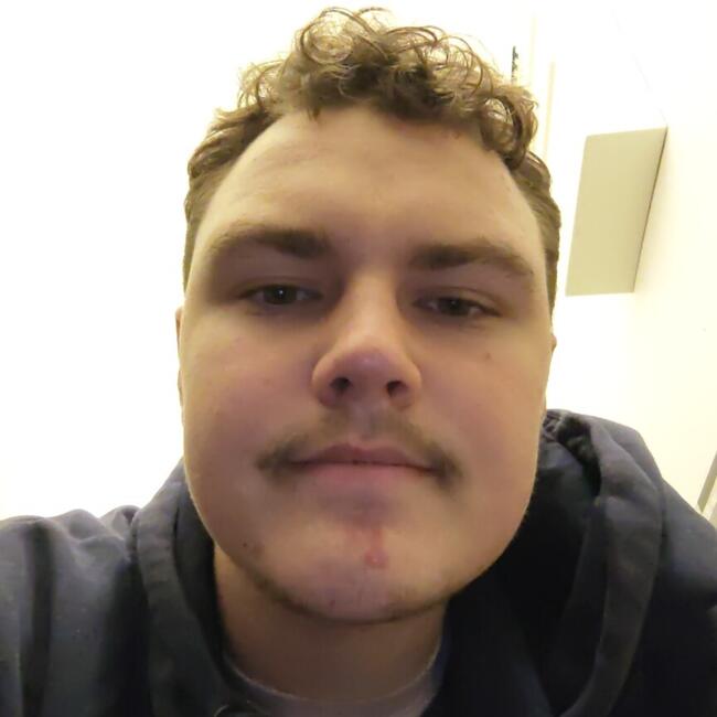 Babysitter in Mérignac: Steven