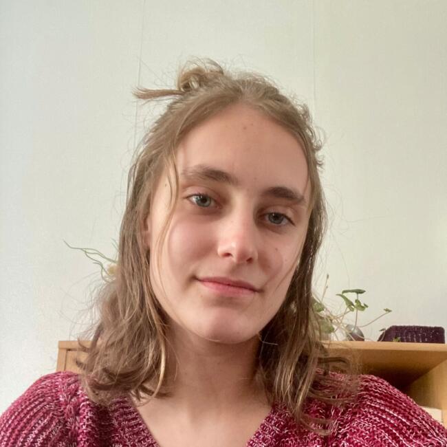 Babysitter in Bagneaux-sur-Loing: Kyrsten