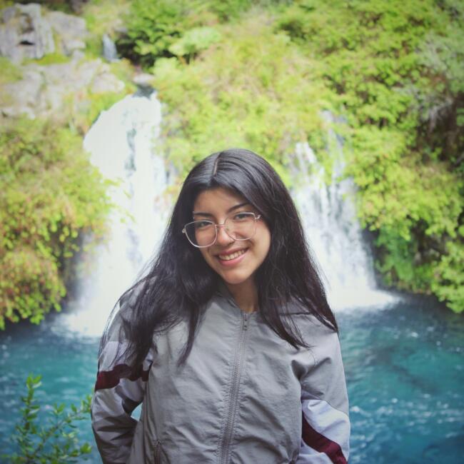 Niñera en Santiago de Chile: Laura