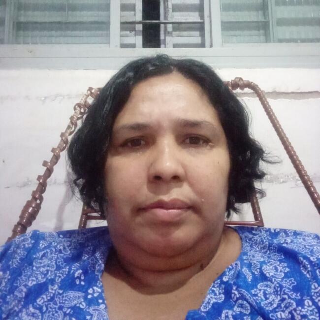 Babysitter in Cuiabá: Elaine
