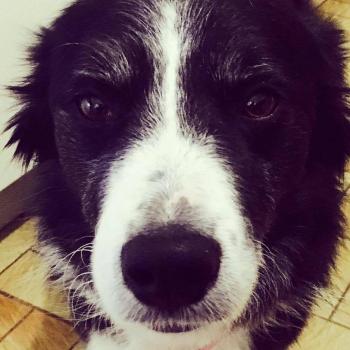 Nanny Luxembourg: Béatrice