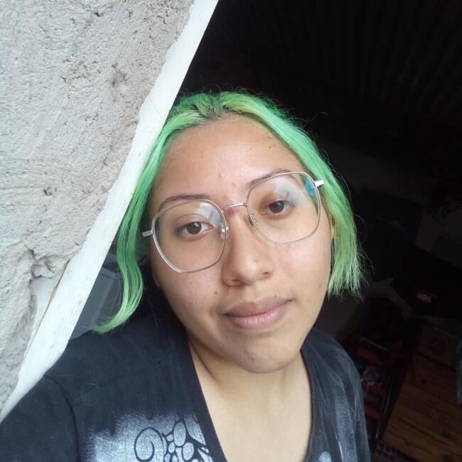 Babysitter in Salta: Iris