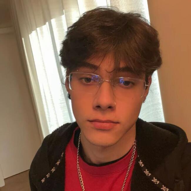 Babá em Nova Petrópolis: Wendel Ryan